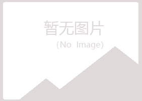 黑山县凝阳会计有限公司